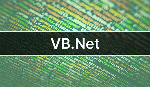 VB.Net Partner