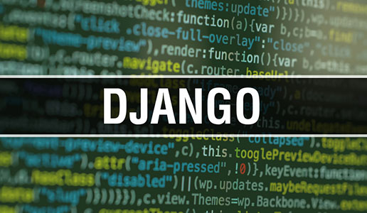 Hire Vetted Programmers.io Django Developers