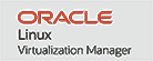 Oracle Virtualization