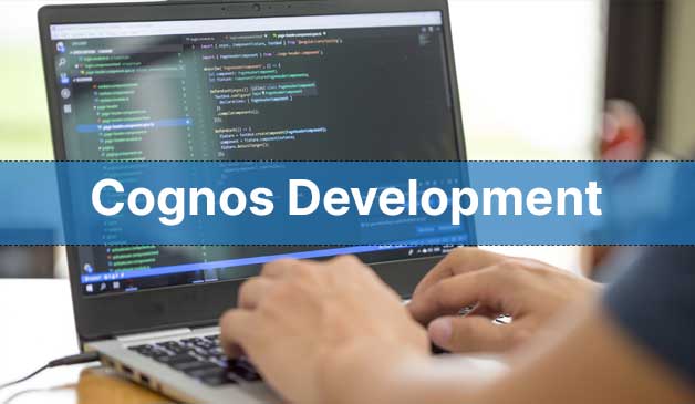 Experienced IBM Cognos Partner