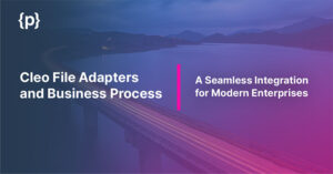 Adapters-and-Business-Process-Cleo-File